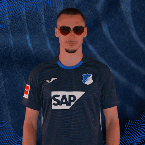 Sport Bundesliga GIF by TSG Hoffenheim