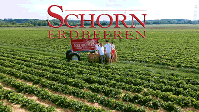 Schorn-Erdbeeren GIF by schorn