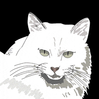 Animation Domination High Def Lol GIF by gifnews
