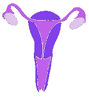 Support Eggs Sticker