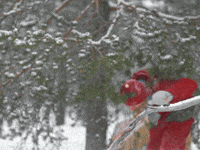 santa claus office christmas GIF by The Elves!