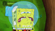 season 9 episode 24 GIF by SpongeBob SquarePants