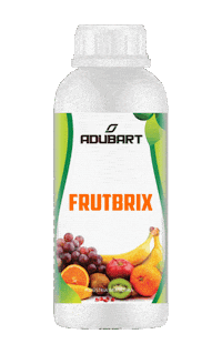 Shimizucyborg Sticker by Shimizu Fertilizantes