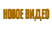 New Video Labelcom Sticker by MEDIUMQUALITYPRODUCTION