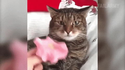 power flower GIF