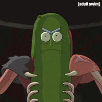 Season 3 GIF by Rick and Morty