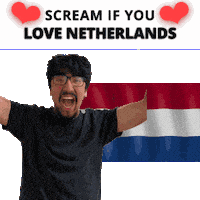 Netherlands Flag Nl Sticker