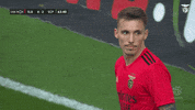 Sl Benfica Look GIF by Sport Lisboa e Benfica