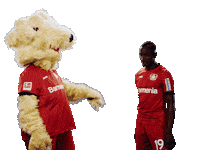 High Five Bayer 04 Sticker by Bayer 04 Leverkusen