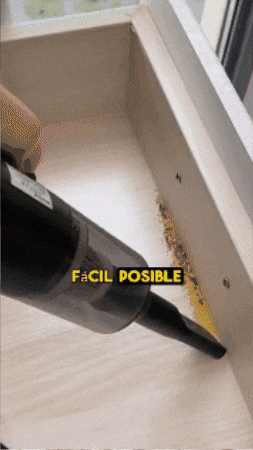 agustinbernald26b766192454803af08ed1fb777a83f giphyupload GIF
