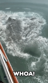 Cruise Ship Hits Iceberg