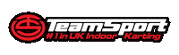 Racing F1 Sticker by TeamSport Indoor Karting