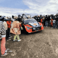 Fans Help GIF by FIA World Rally Championship