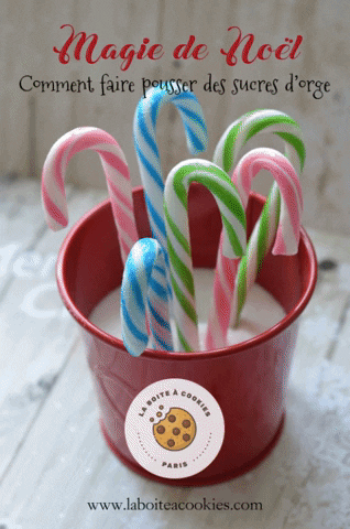 laboiteacookies giphygifmaker sucredorge laboiteacookies magiedenoel GIF
