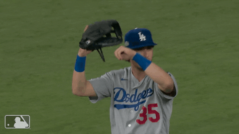 Los Angeles Dodgers Baseball GIF by MLB