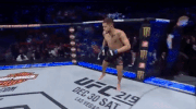 mma ufc218 GIF by UFC
