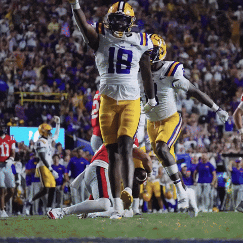 College Football GIF by LSU Tigers