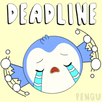 Lets Go Yes GIF by Pudgy Penguins