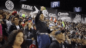 torostijuana baseball tijuana toros de tijuana GIF