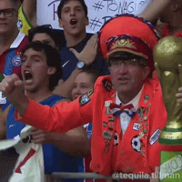 World Cup GIF