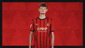 Fc Heidenheim Football GIF by Bundesliga