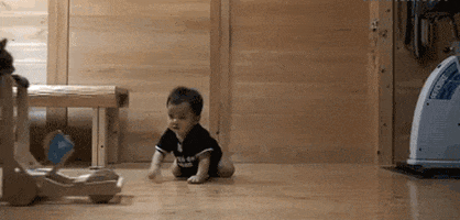 Cat Kids GIF