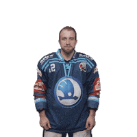 Hockey Thumbs Up Sticker by HC Škoda Plzeň