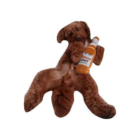 Party Fun Sticker by victoriacatwalkdog