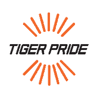 Georgetown Gtowncollege Sticker by GCTigers