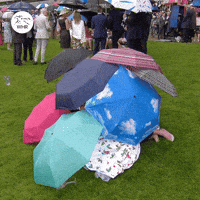 Royal Ascot Horse Riding GIF by World Horse Racing
