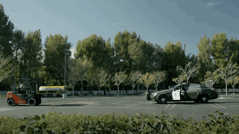 fox broadcasting comedy GIF by The Last Man On Earth