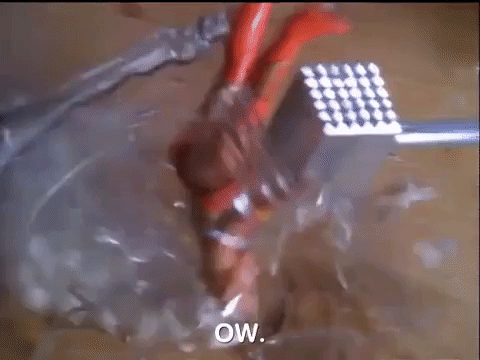 action league now nicksplat GIF