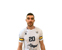 Prvball henry grand horizon tall Sticker