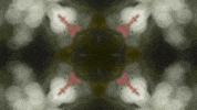Art Love GIF by jorgemariozuleta