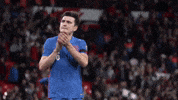 Three Lions Clapping GIF by England