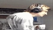 Shock What GIF