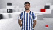 Hertha Bsc Football GIF by Bundesliga