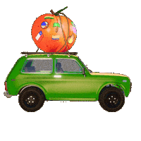 Music Festival Car Sticker by Baja Beach Fest