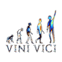 festival part Sticker by DM7 Bookings