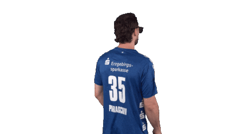Handball-Bundesliga Sport Sticker by LIQUI MOLY HBL