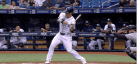 new york yankees mlb GIF