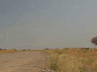 KirillStec lost alone desert thirst GIF