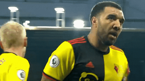 Come On Soccer GIF by Watford Football Club