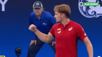 David Goffin Yes GIF by Play Sports