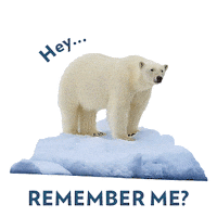 Polar Bear Earth Sticker by sodastreams