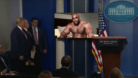 williamrennekamp giphyupload GIF