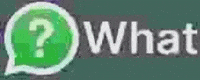 What GIF