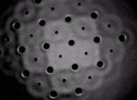patterns beware GIF