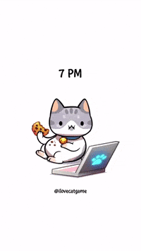 Weekend Plans