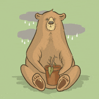 guendouglas sad crying bear plant GIF